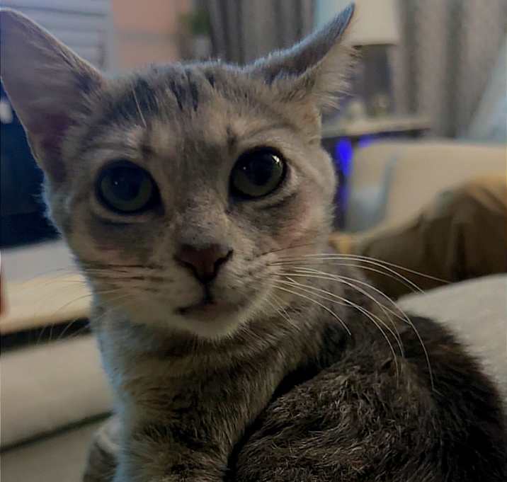 Photo of Annie