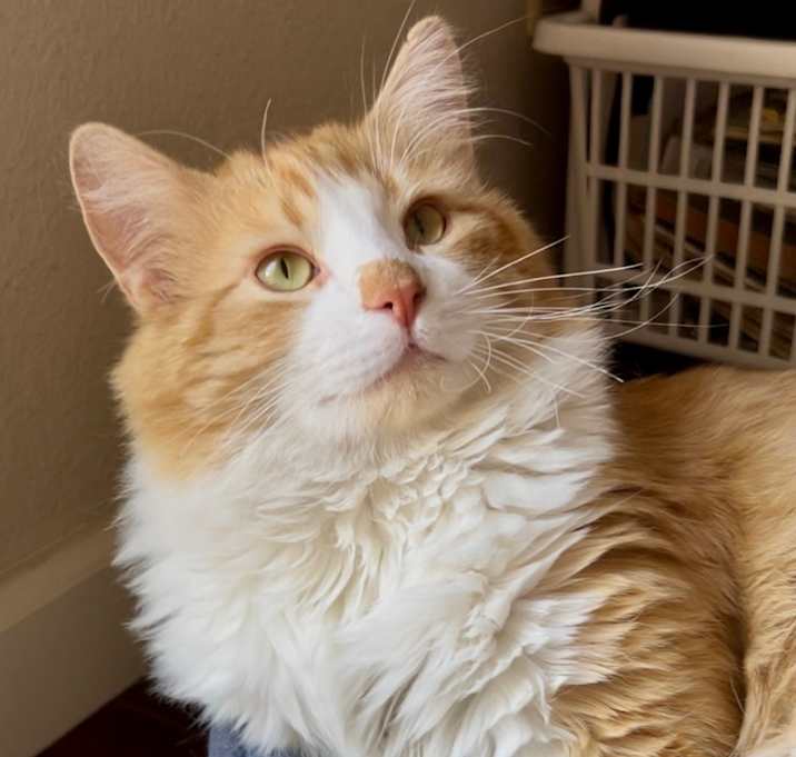 Photo of Grady