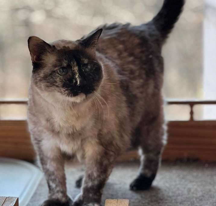 Photo of Emily