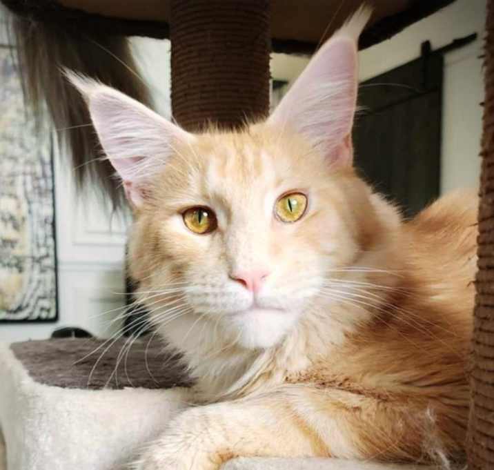 Photo of Tom