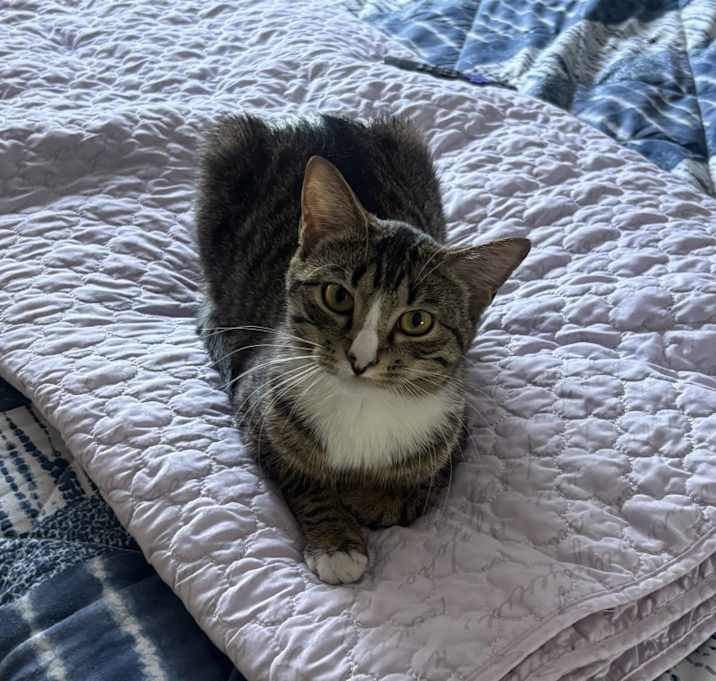 Photo of Luna