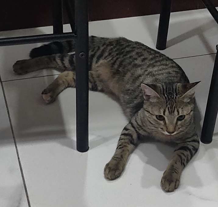 Photo of Hazel