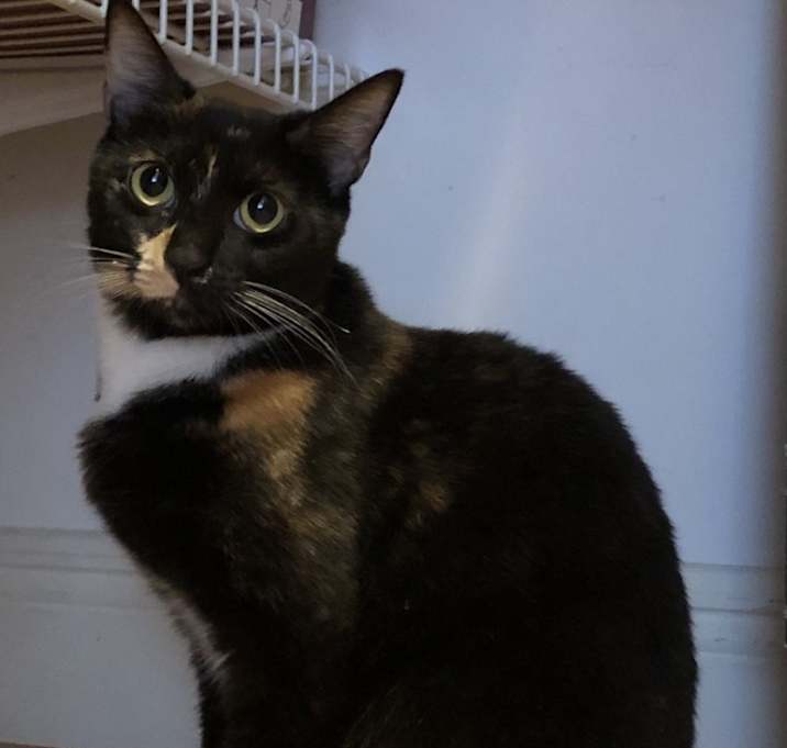 Photo of Celia