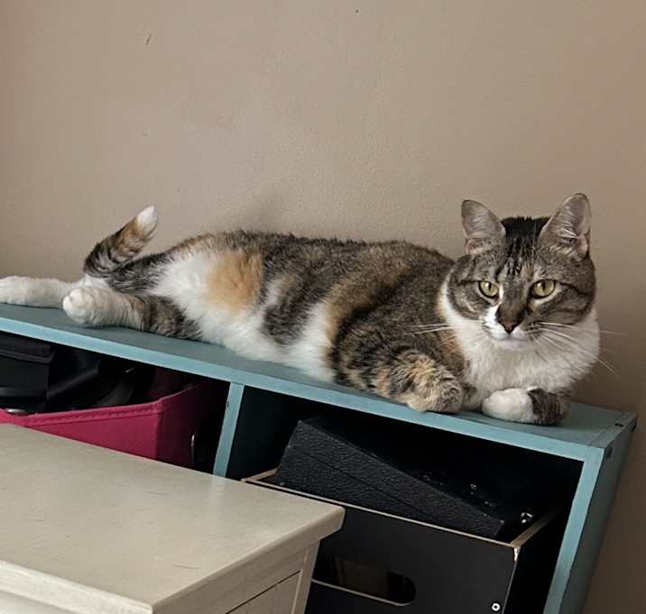 Photo of Cora
