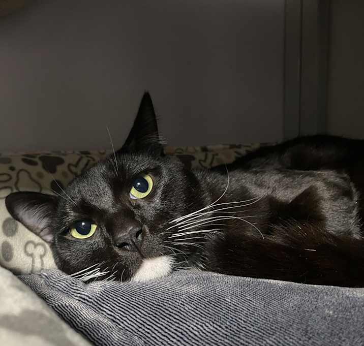 Photo of Hades