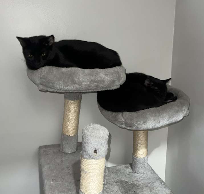 Photo of Bud and Lou