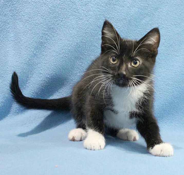 Photo of Connor