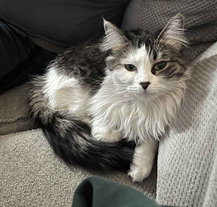 Photo of Mia