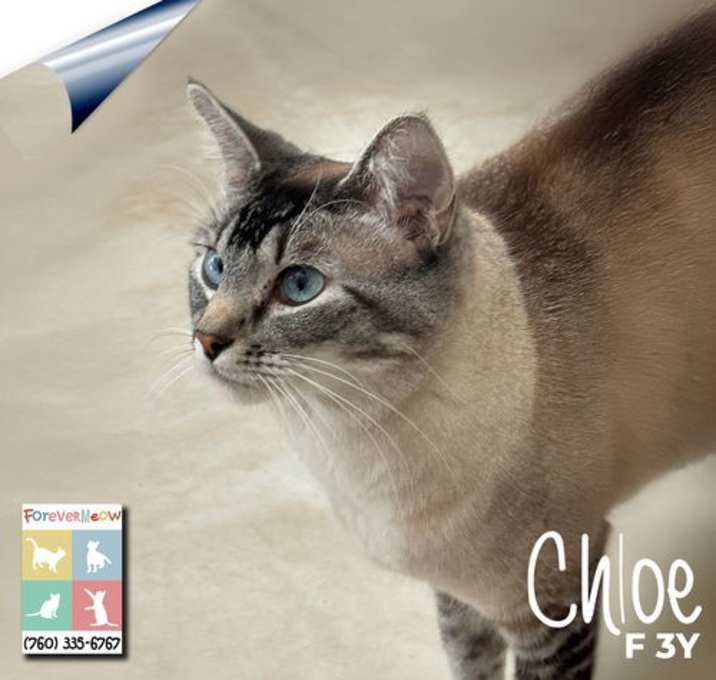 Photo of Chloe
