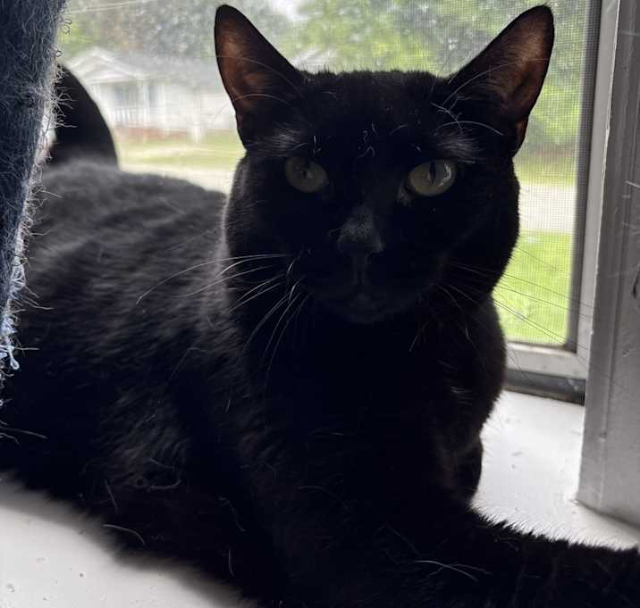 Photo of Velma