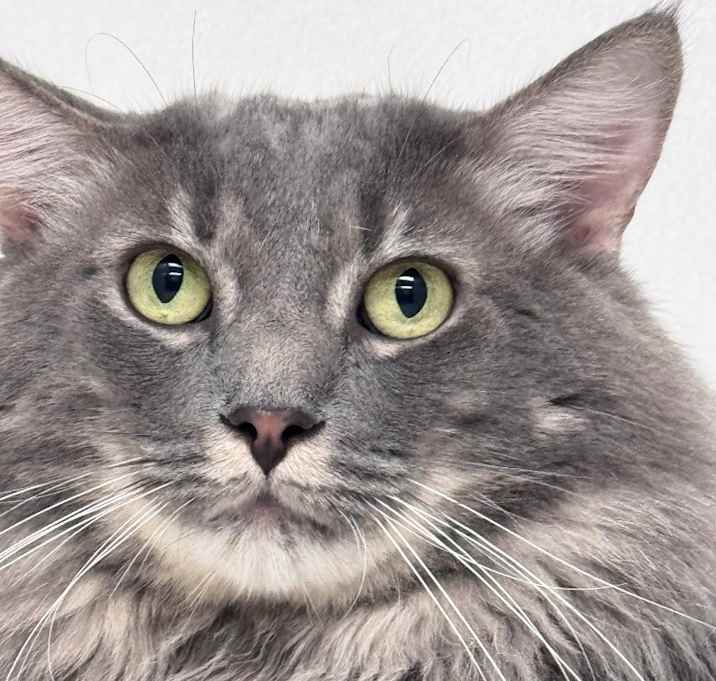 Photo of Frankie