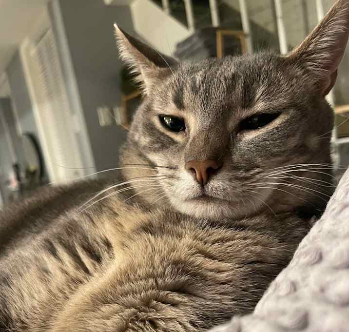 Photo of Rupi