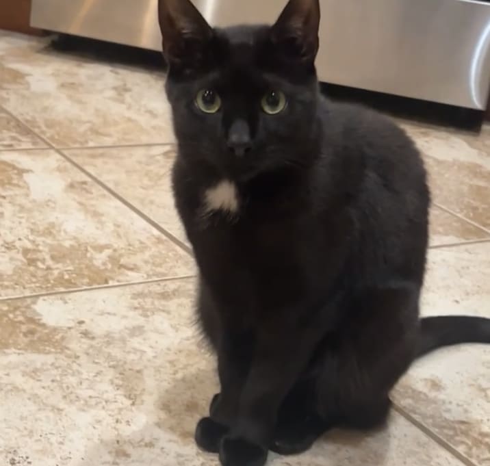 Photo of Willow