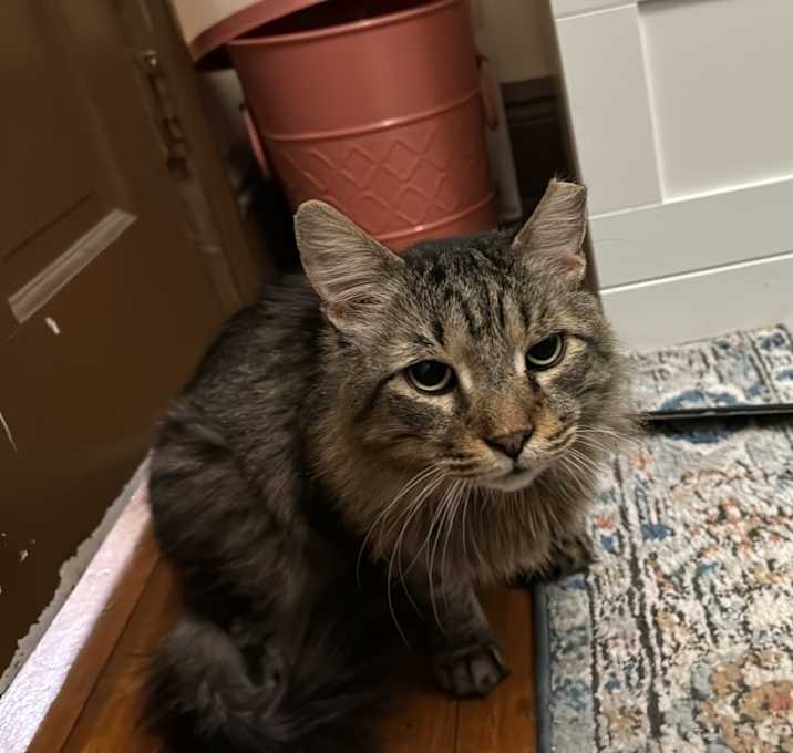Photo of Munu