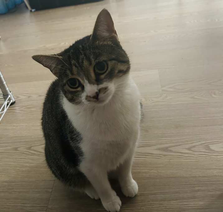 Photo of Hazel