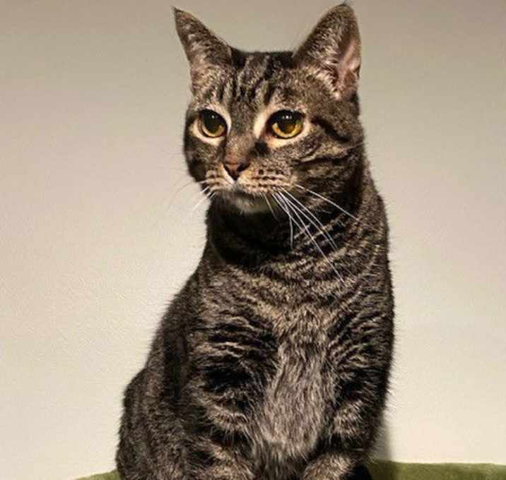 Photo of Beans