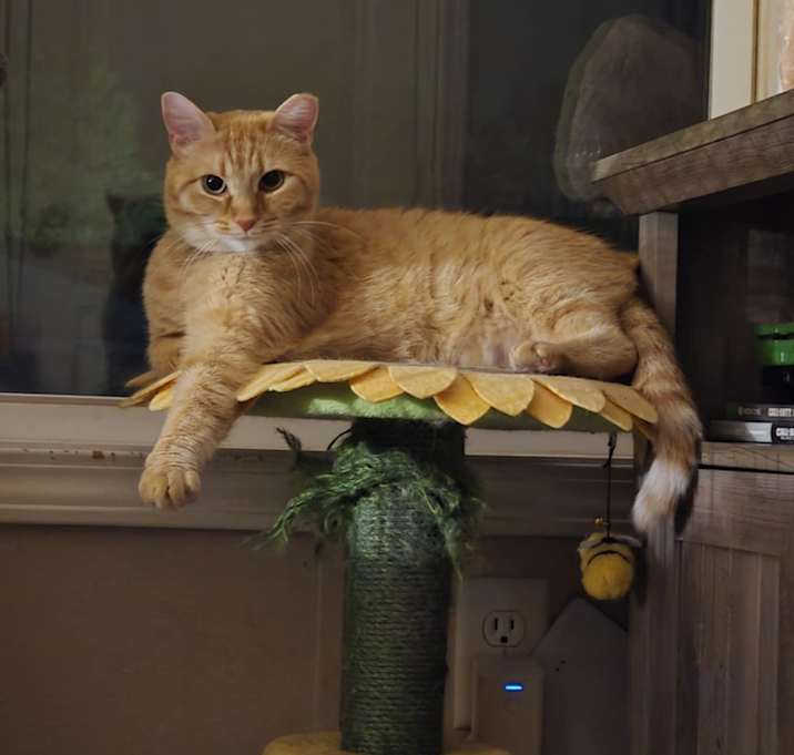 Photo of Cutie