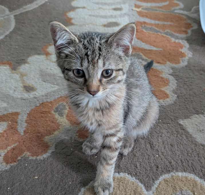 Photo of Lexie