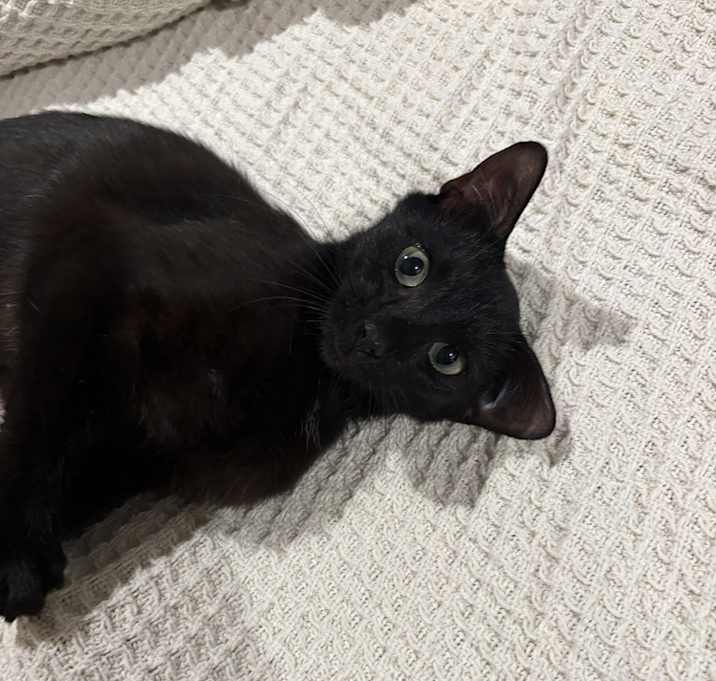 Photo of Samantha