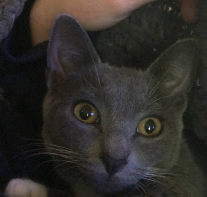 Photo of Boots