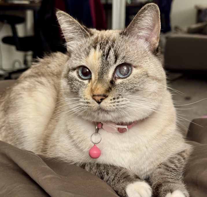 Photo of Marie