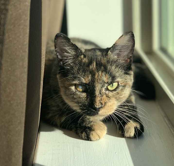 Photo of Finley