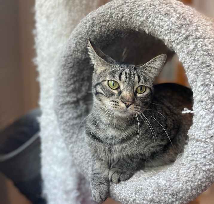 Photo of Jabberwocky