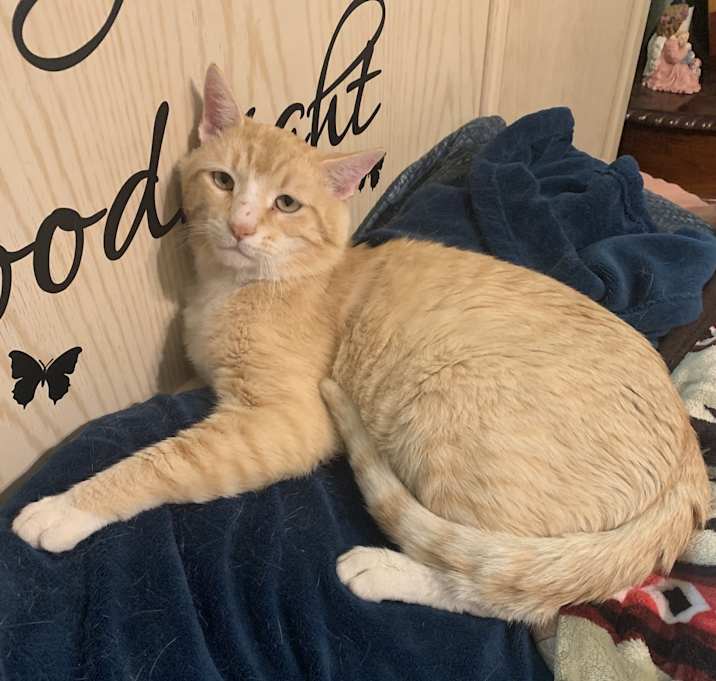Photo of Baxter