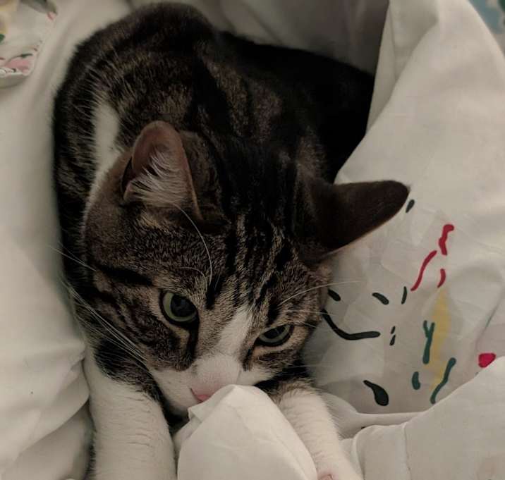 Photo of Jacques