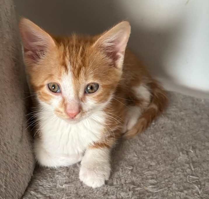 Photo of Spice