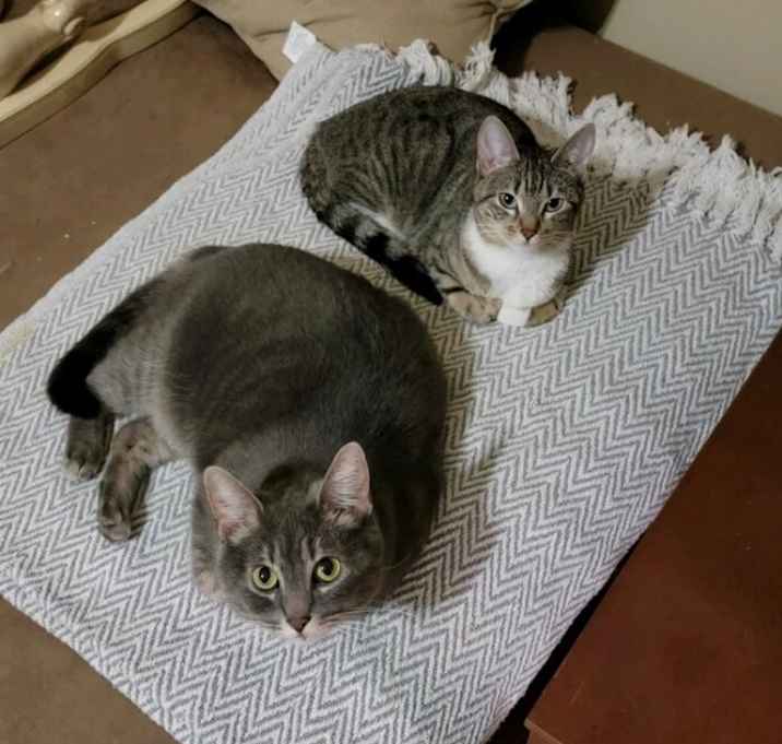 Photo of Boppo and Little