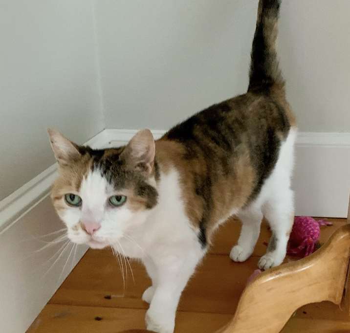 Photo of Millie