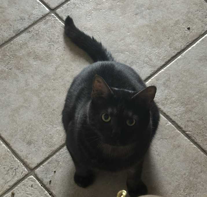 Photo of Steve