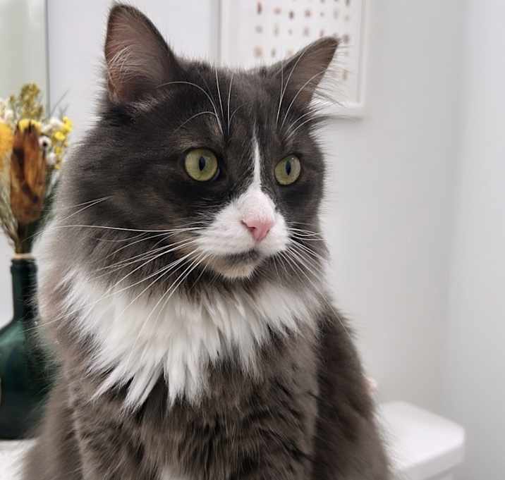 Photo of Benny