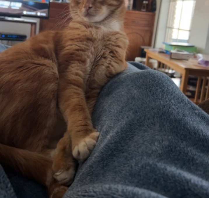 Photo of Juice