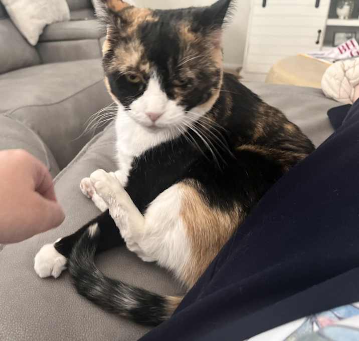 Photo of Callie Lou