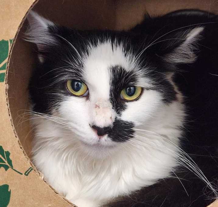 Photo of MARVIN