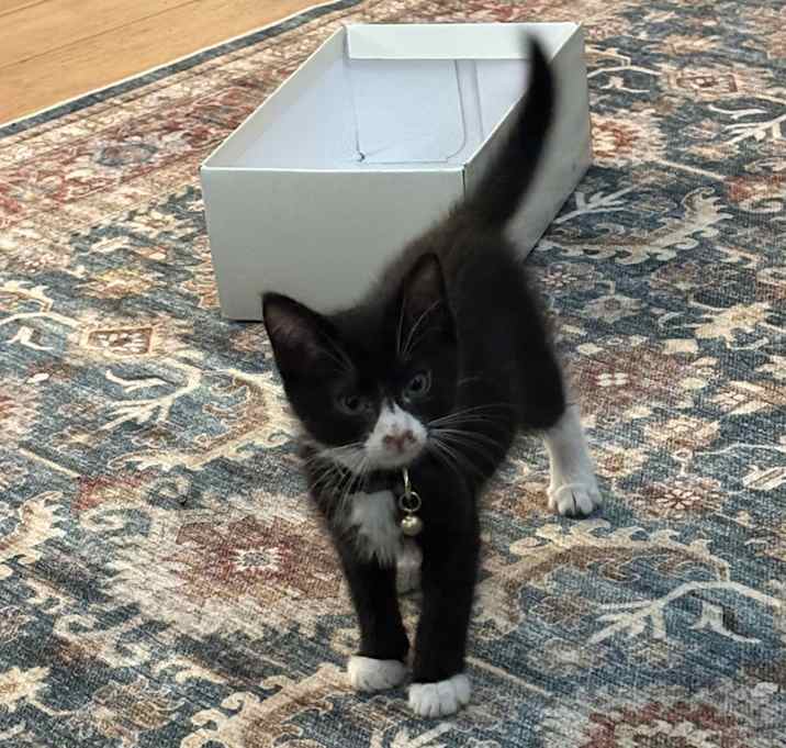 Photo of Pixel