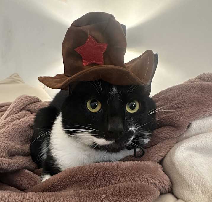 Photo of Kiwi