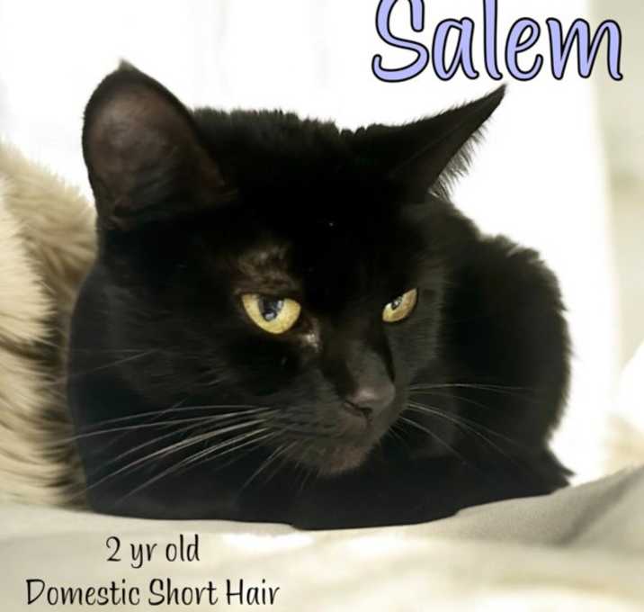 Photo of Salem