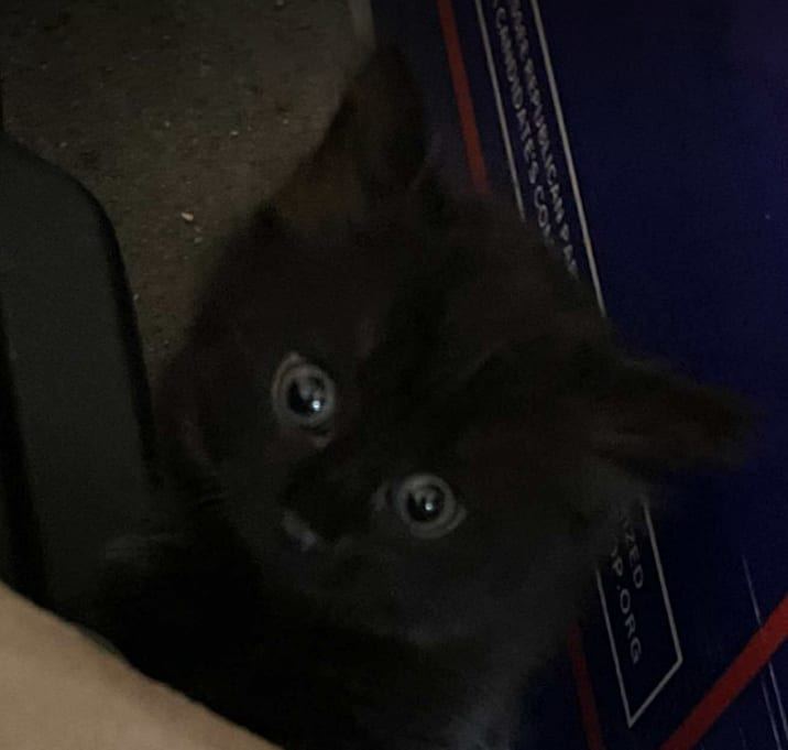 Photo of Gemma
