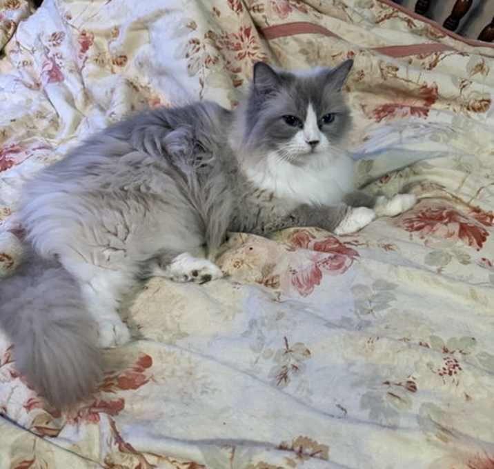 Photo of PIXIE