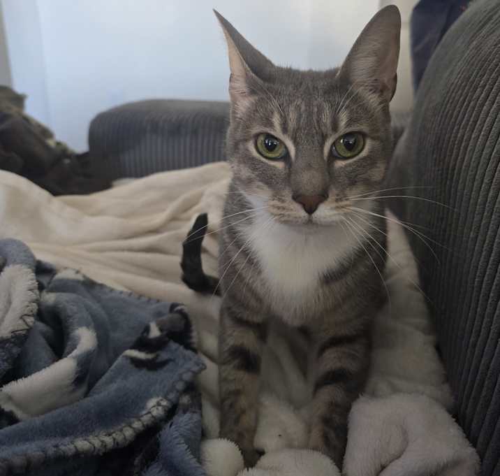 Photo of Lila