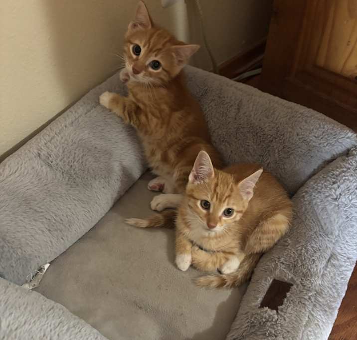 Photo of Baby