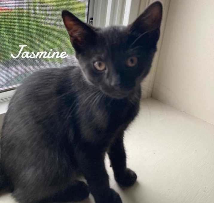 Photo of Jasmine born 3/19/25