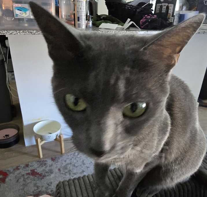 Photo of Rainy