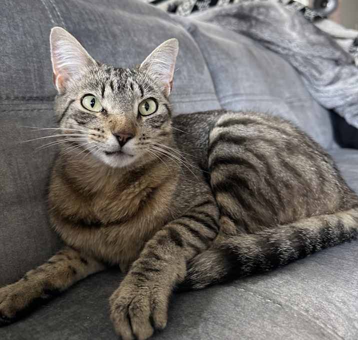 Photo of Lucy
