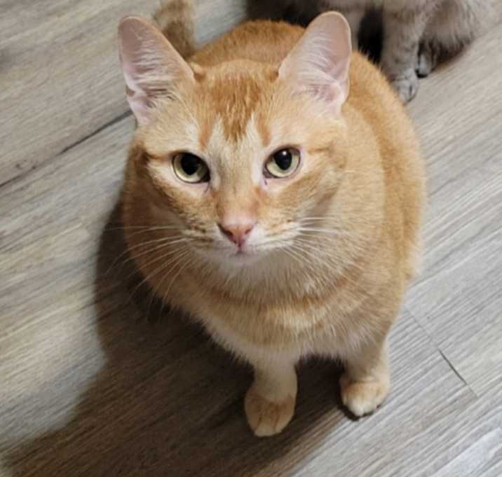 Photo of Sandy