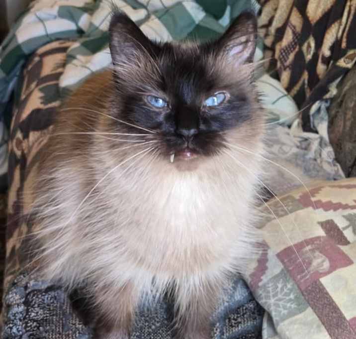 Photo of Babee