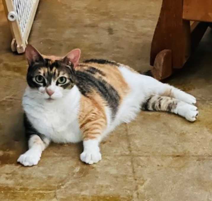 Photo of Ripley
